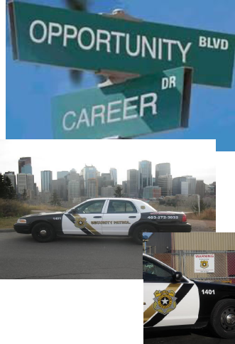 Secure Protection Services Opportunities and Careers